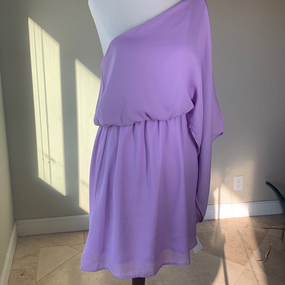 NWT The Impeccable Pig Caramela One shoulder lilac lavender dress sz Small. - Picture 3 of 7